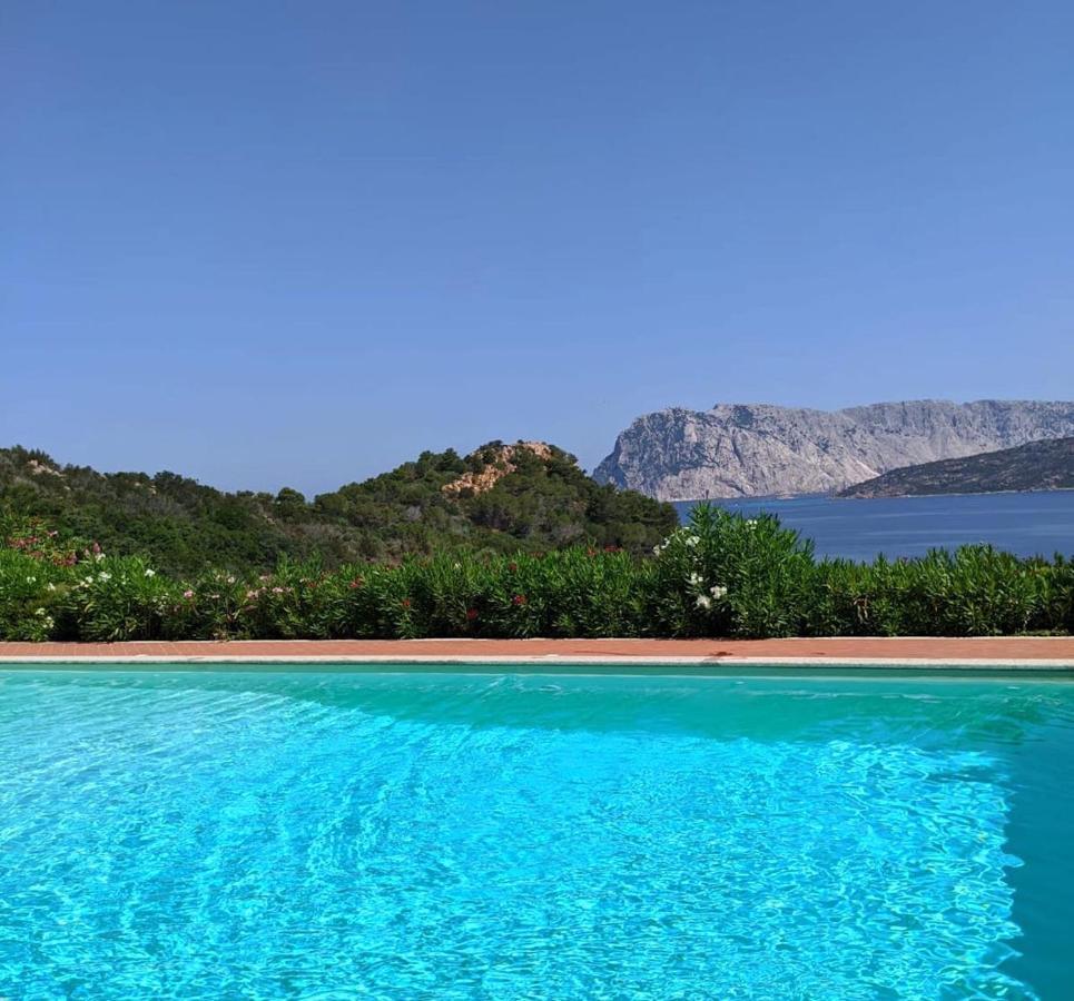 San Teodoro Punta Est Curatissimo Bilocale