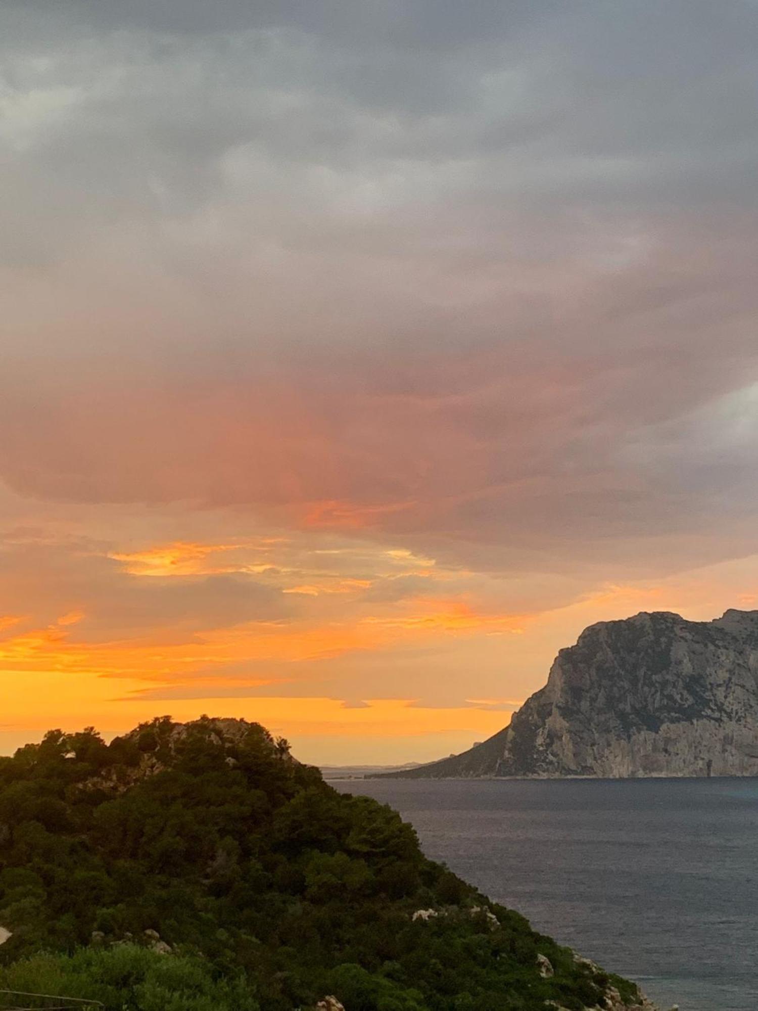 San Teodoro Punta Est Curatissimo Bilocale * Capo Coda Cavallo